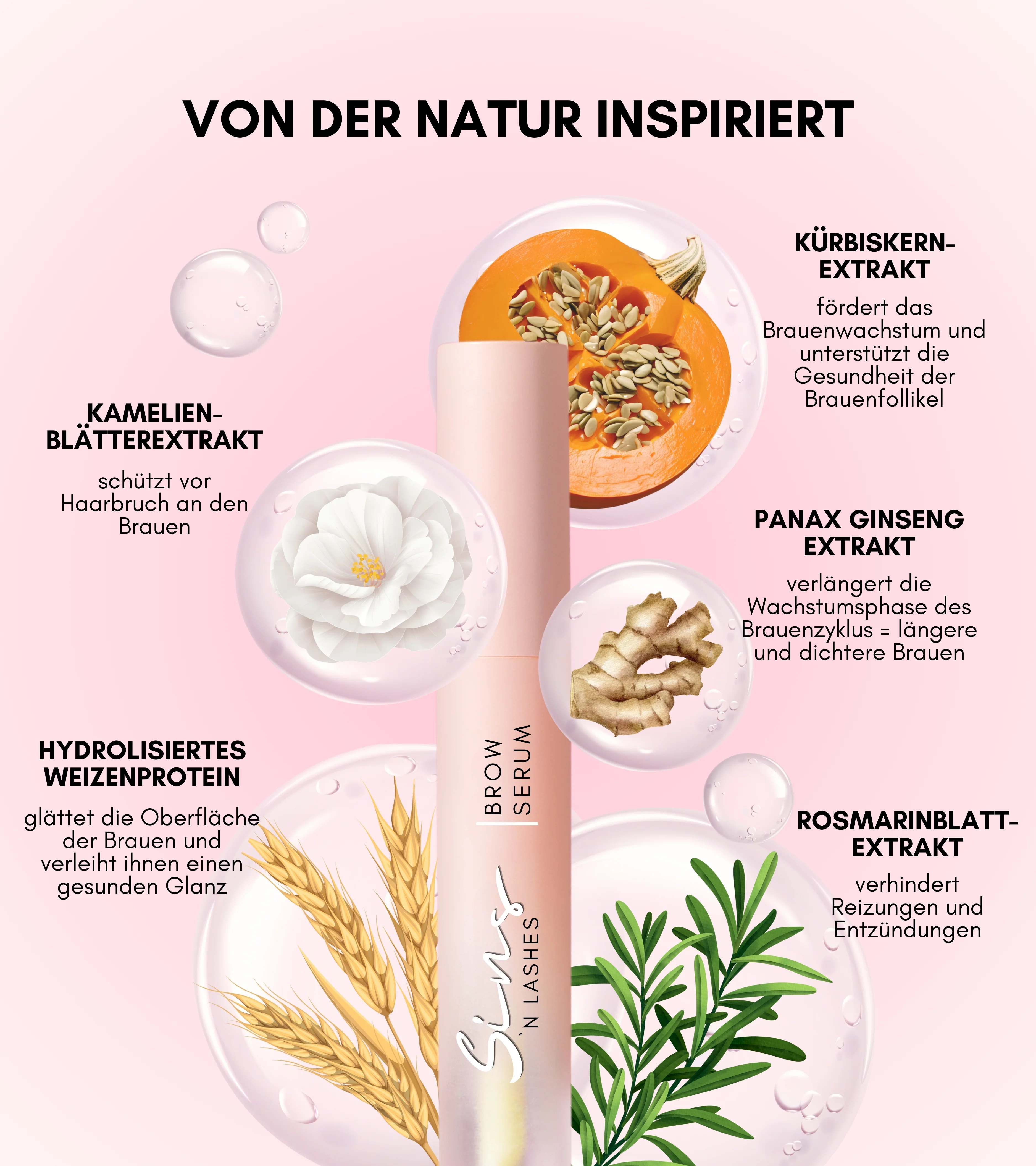 AUGENBRAUENSERUM - Image 4