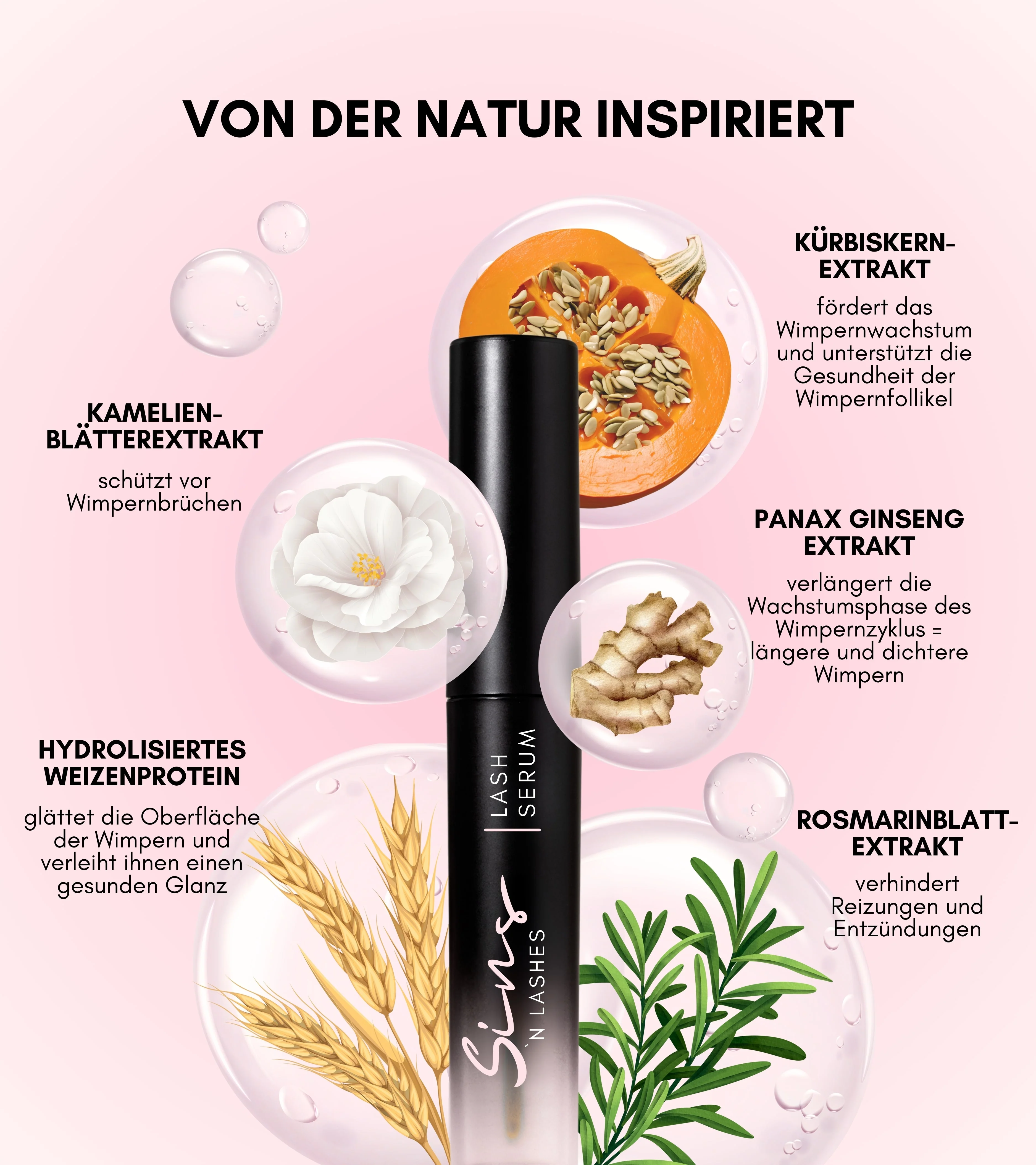 WIMPERNSERUM - Image 4